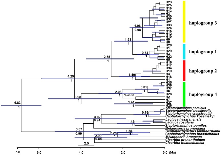 Figure 4