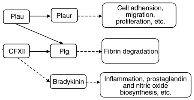 Figure 7.