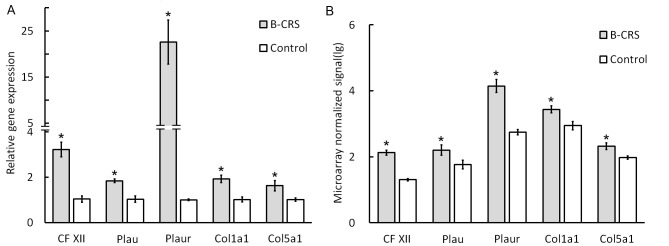 Figure 6.