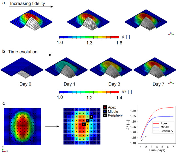 Figure 2: