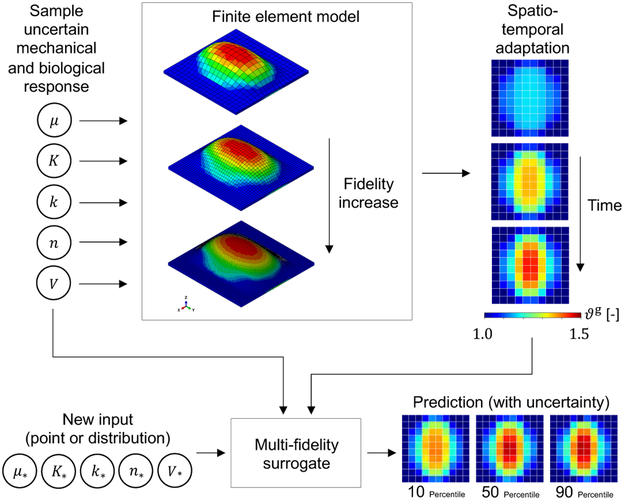 Figure 1: