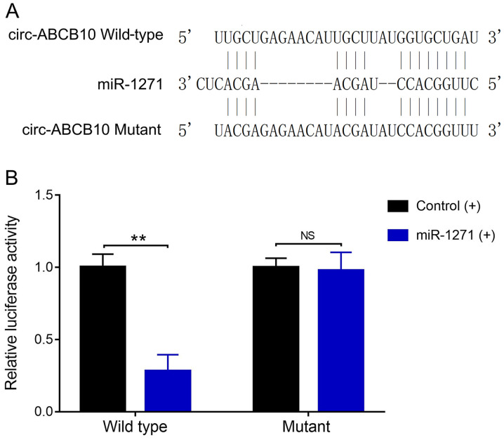 Figure 7.