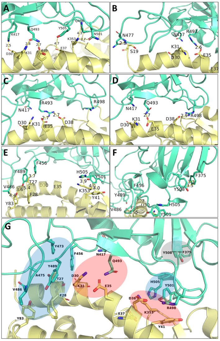Figure 10