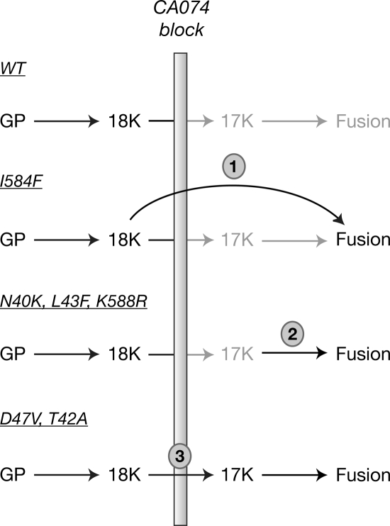 FIG. 10.