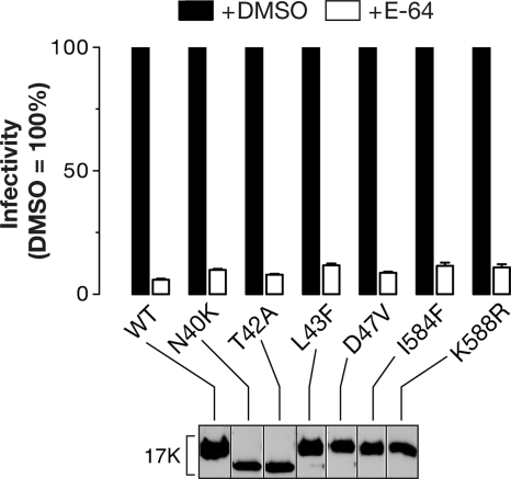 FIG. 9.