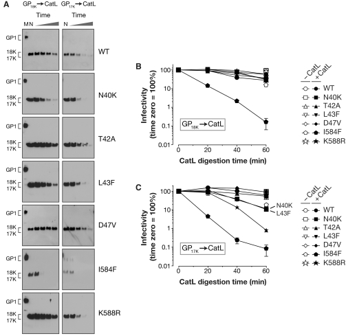 FIG. 8.