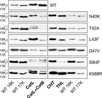 FIG. 7.