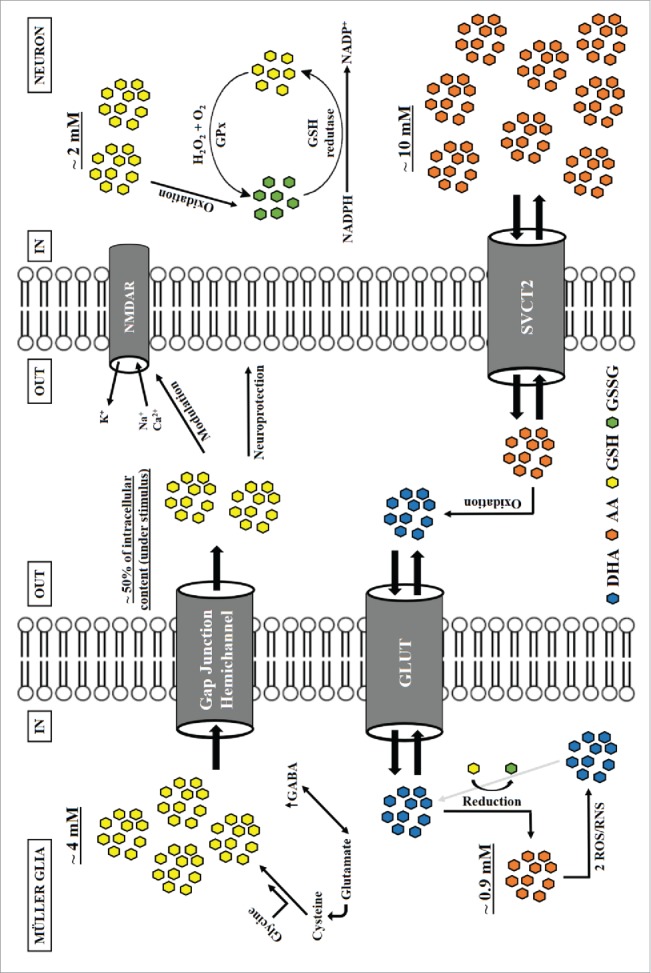 Figure 1.