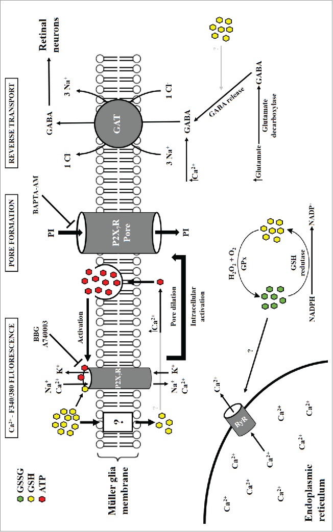 Figure 2.