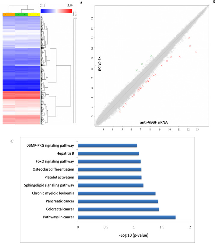 Figure 14