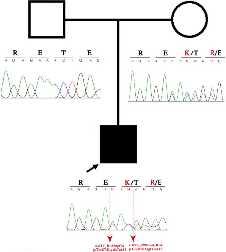 FIGURE 3