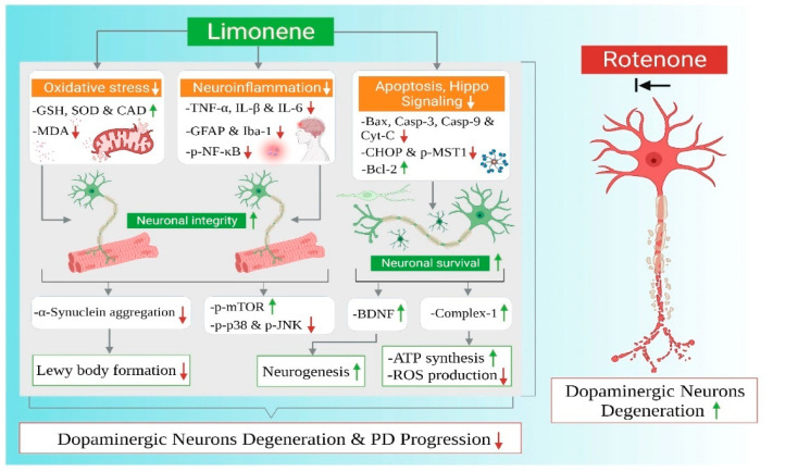 Figure 11