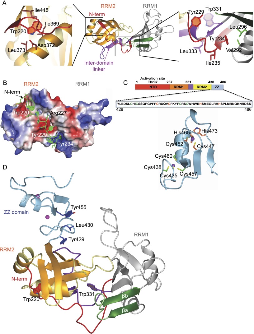 Figure 2.