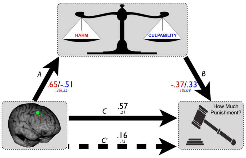 Fig 5