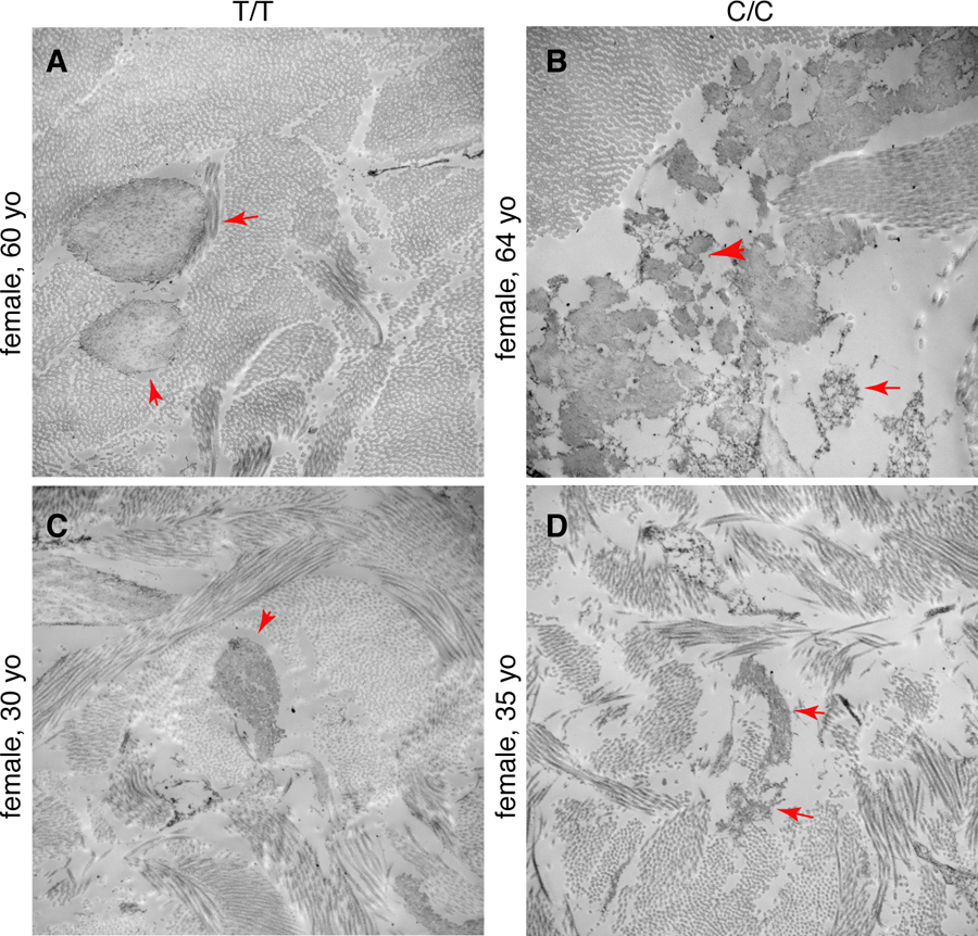 Figure 3: