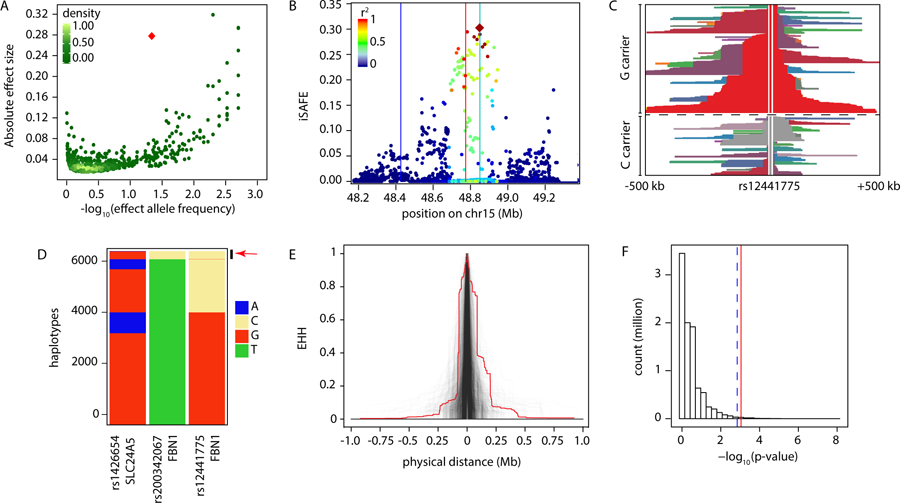 Figure 2: