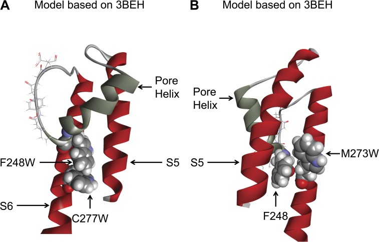 Figure 11.