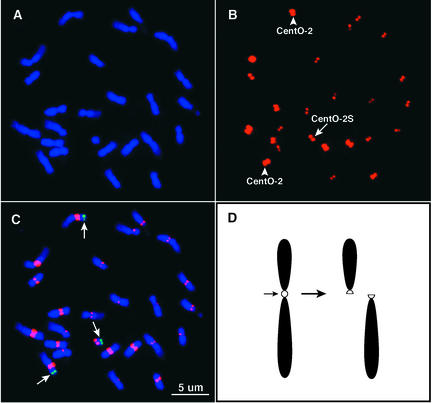 Figure 5.