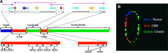 Figure 2.