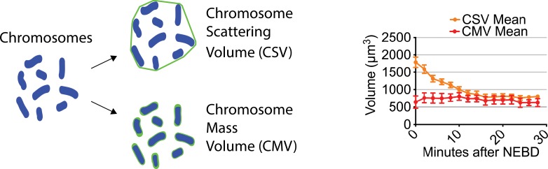 Figure 1—figure supplement 5.