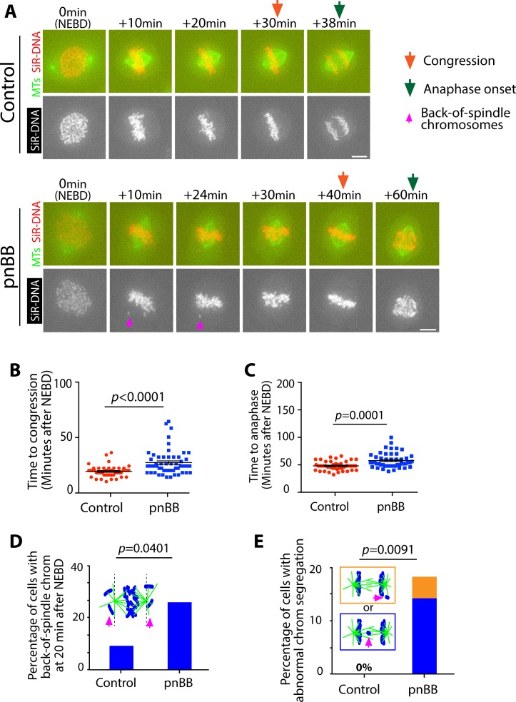 Figure 5—figure supplement 3.