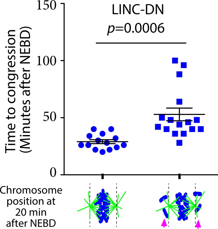 Figure 5—figure supplement 2.