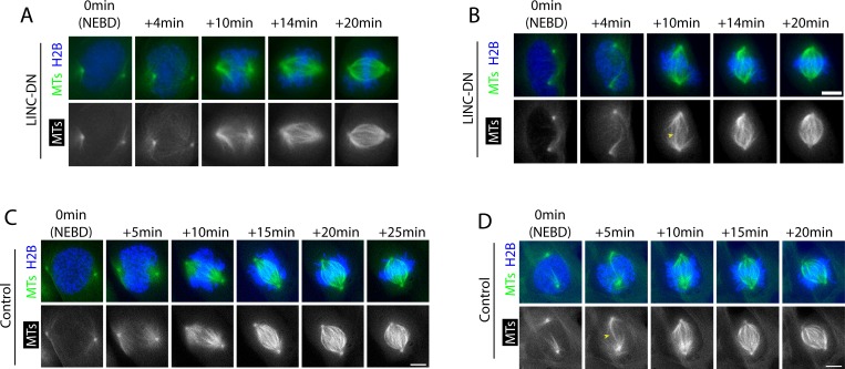 Figure 3—figure supplement 6.