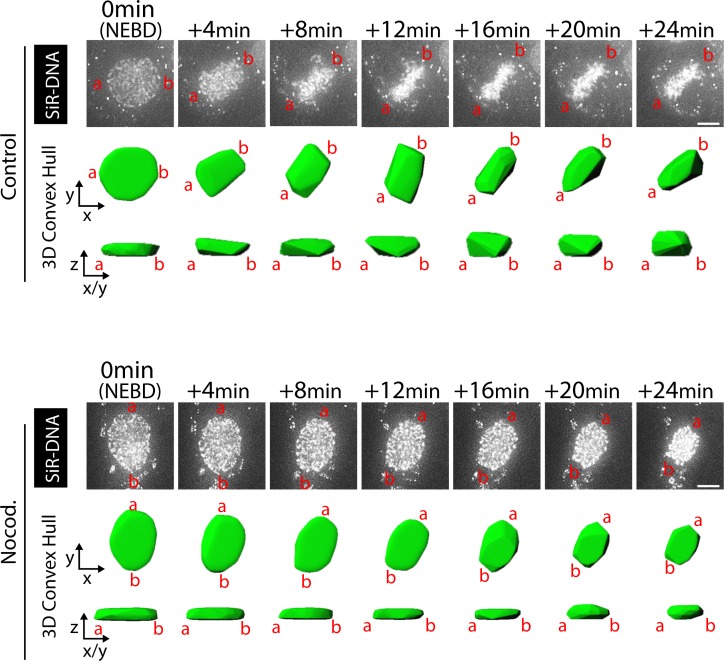 Figure 1—figure supplement 4.