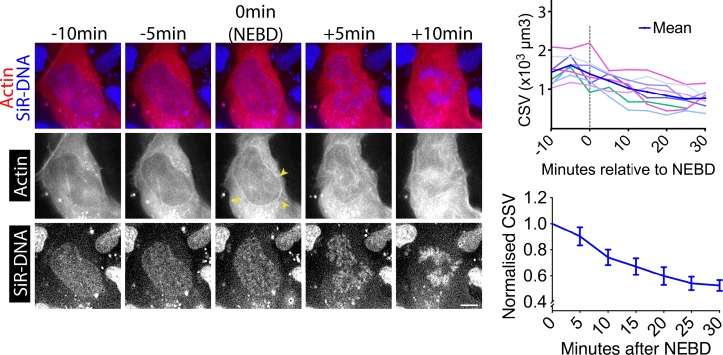 Figure 1—figure supplement 2.