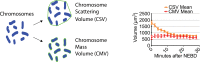 Figure 1—figure supplement 5.