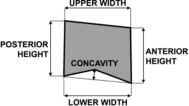 Figure 1. Diagram of the cephalometric measurements with derived linear variables. Only a vertebral body is shown for clarity. In cervical vertebra 2, only concavity was measured.