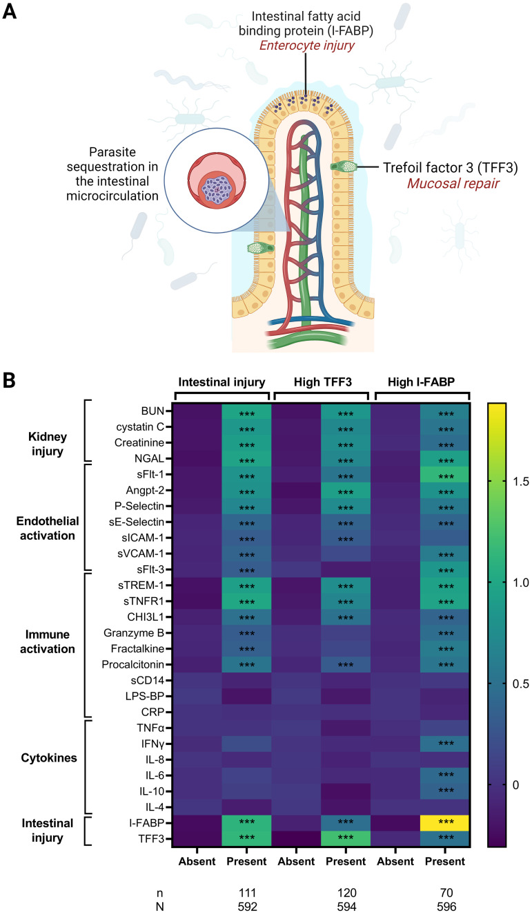 FIG 6