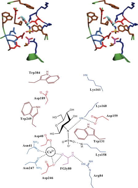 FIGURE 3.