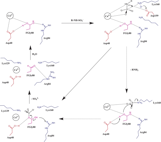 FIGURE 7.