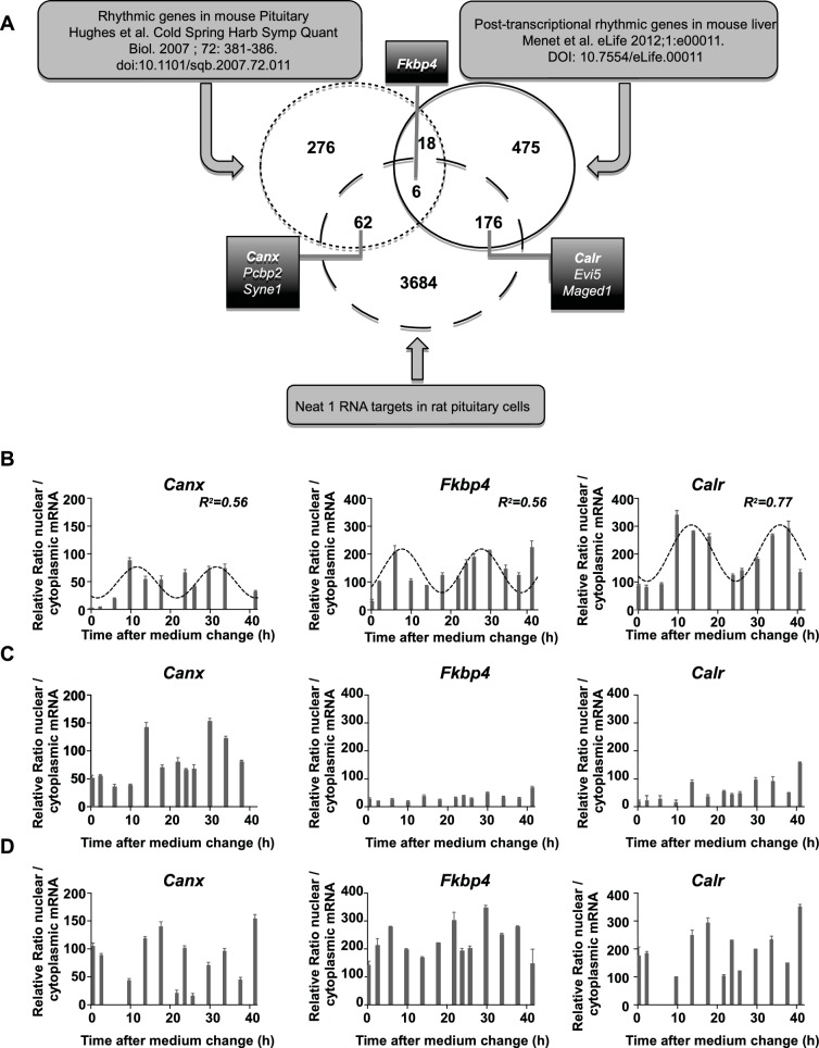 Figure 6.