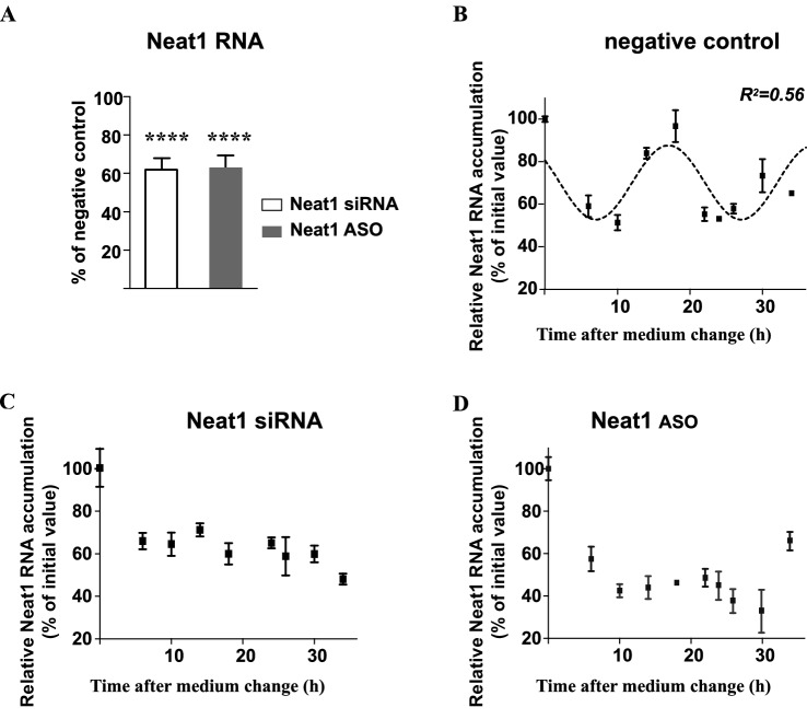 Figure 5—figure supplement 1.