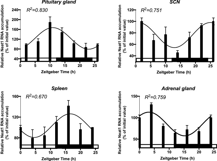 Figure 3—figure supplement 1.