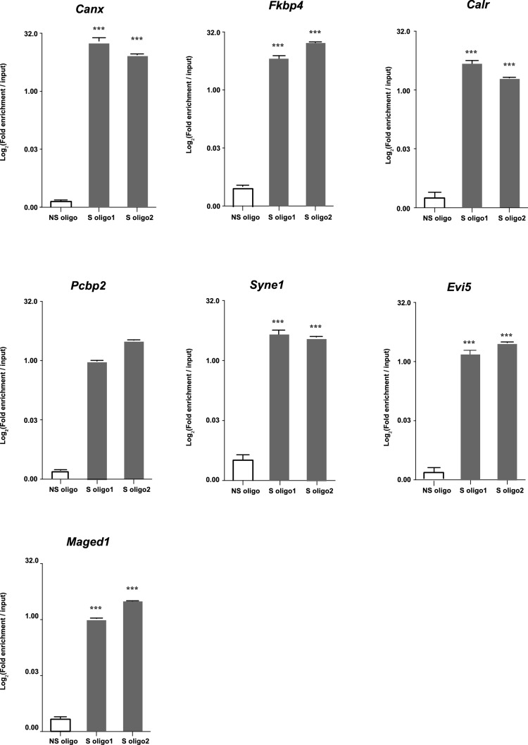 Figure 6—figure supplement 1.