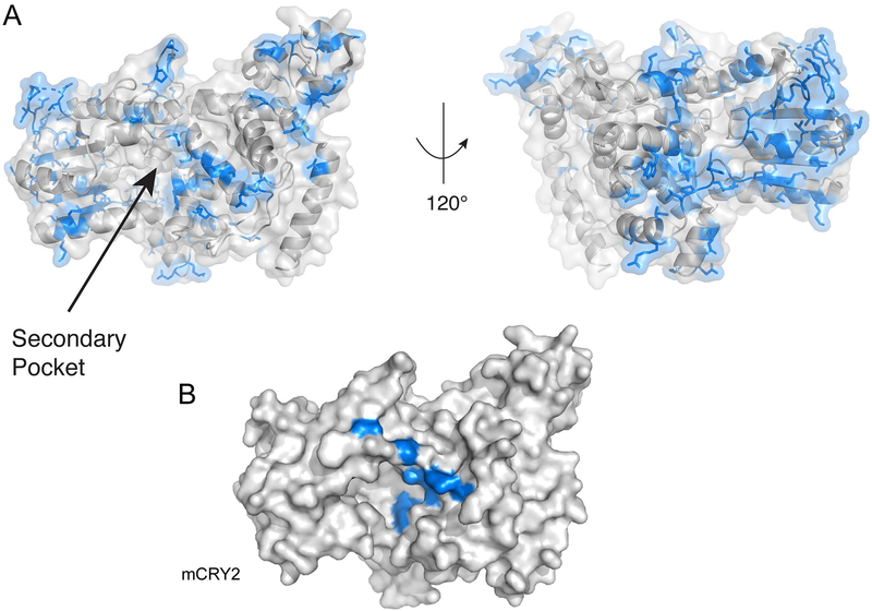 Figure 4.