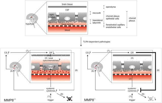 Figure 7.