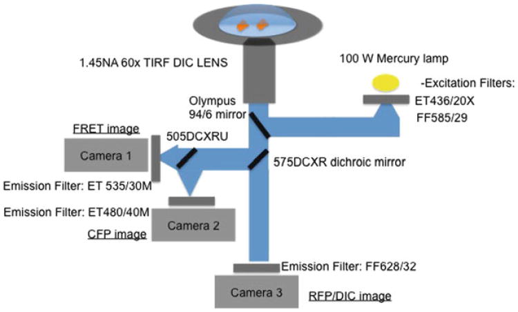 Fig. 3