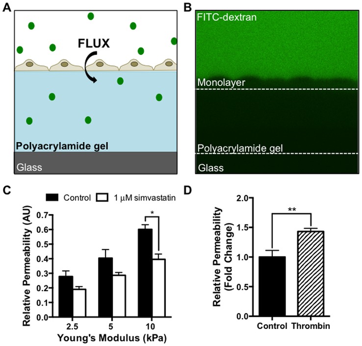 Fig 5