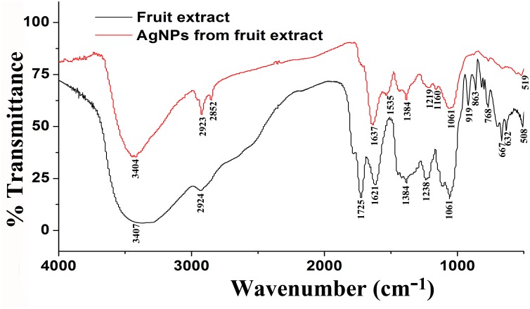 FIGURE 3