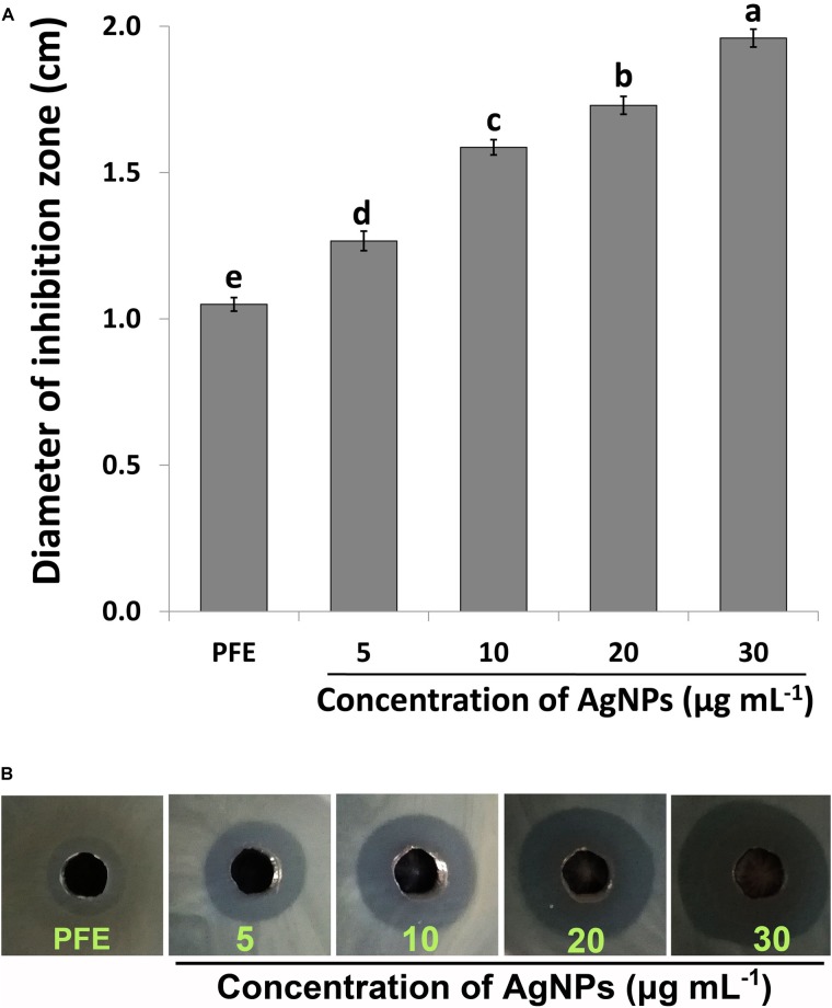 FIGURE 6