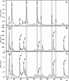 Fig 5