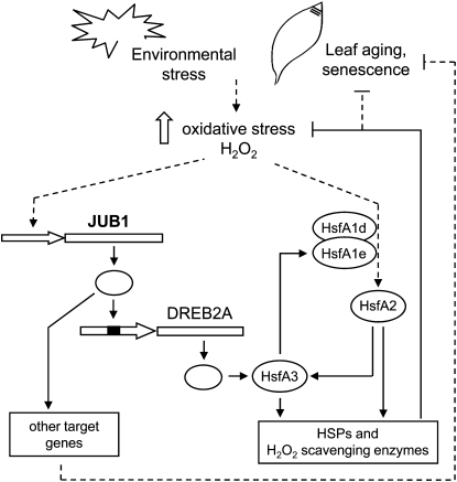 Figure 14.