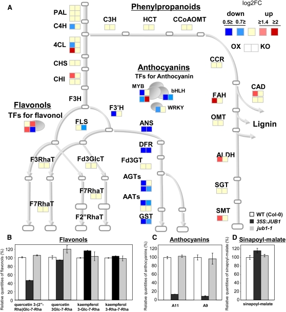 Figure 12.