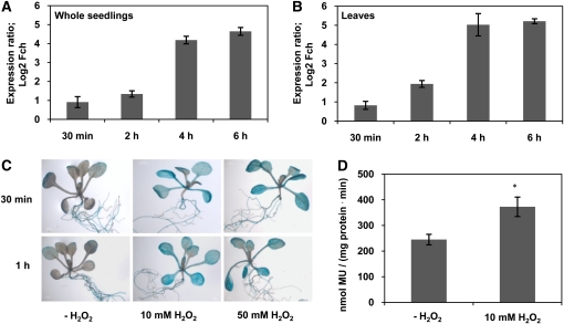 Figure 6.