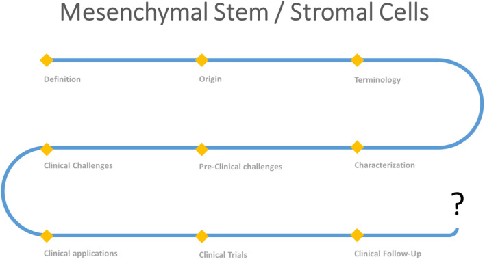 GRAPHICAL ABSTRACT