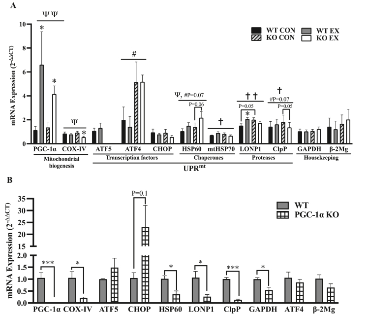 Figure 7